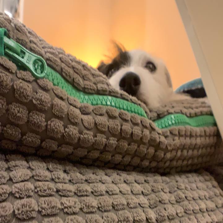 3ae33b5c 29d7 43b3 ac58 054c852a3347 1564319835930