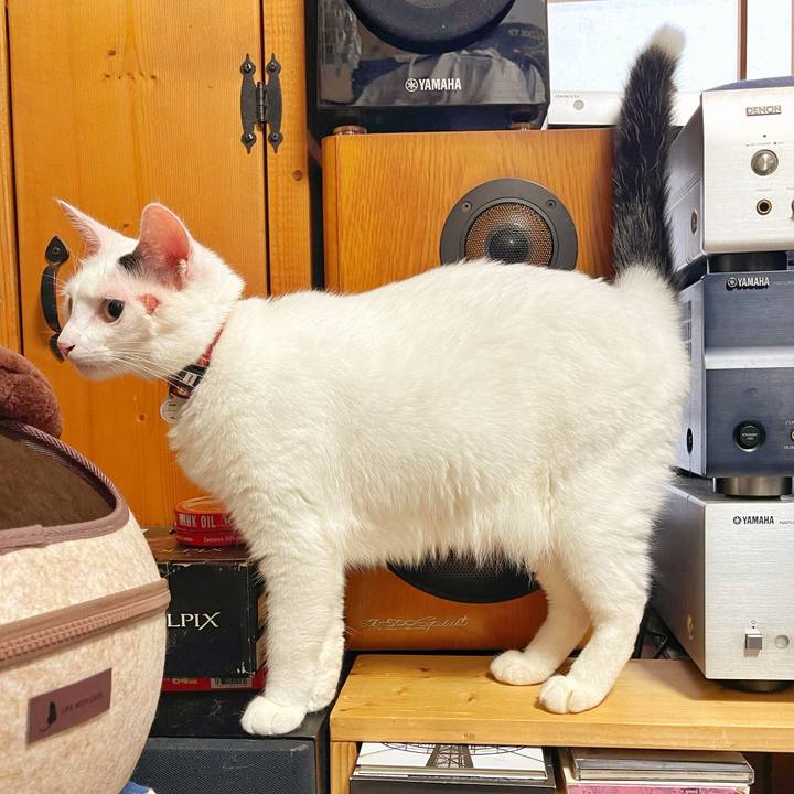 3ae35a8b 1910 418e b4a3 9c526e4be941 1757810477328