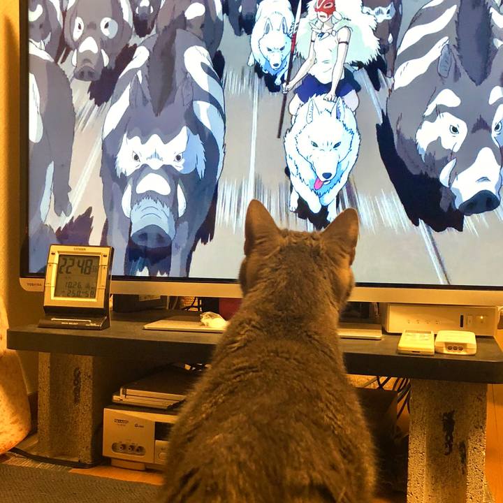 3ae3acca dded 41d0 a053 e9eb7b343b01 1540564154263