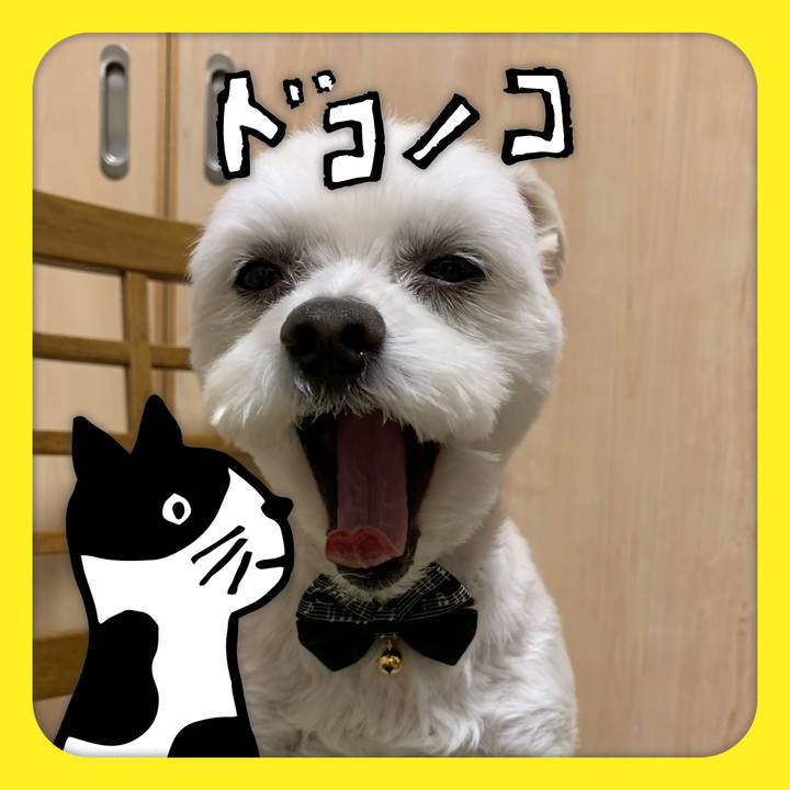 3ae3bd94 5b63 4201 a411 f9cdb83b6f59 1622867245525