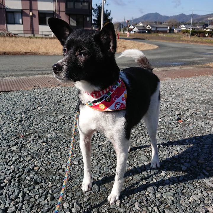 3ae3c2c8 0f5e 4841 a1f7 0467232b1071 1609125170423