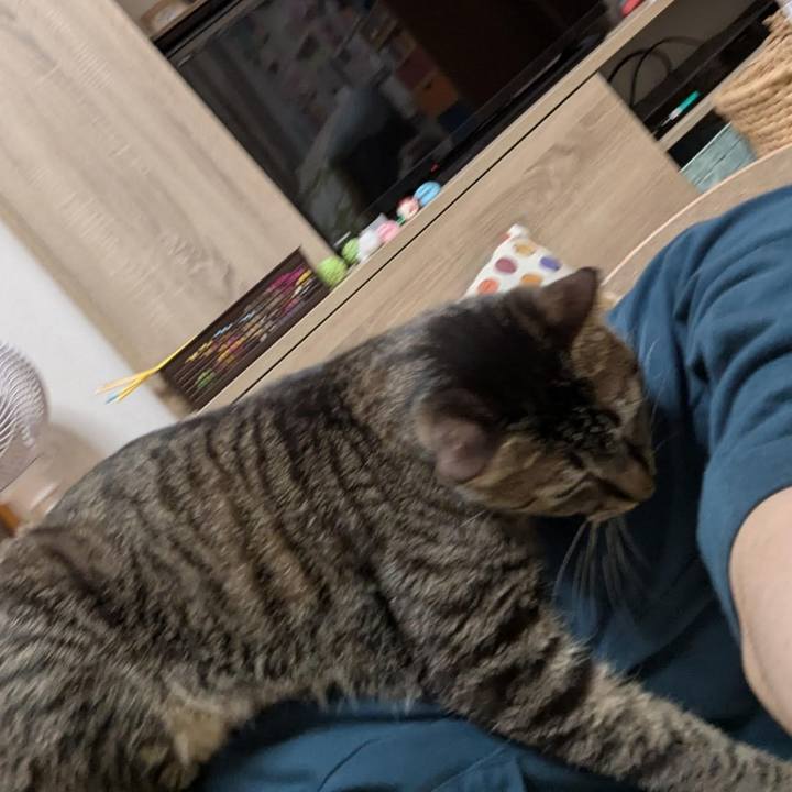 3ae3e07d cfa7 4bfb 9ac7 32e1fa600f75 1749801483760