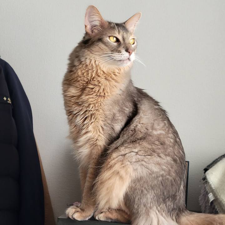 3ae3f412 2a9d 4f48 88f5 5757e419c72f 1677651491561