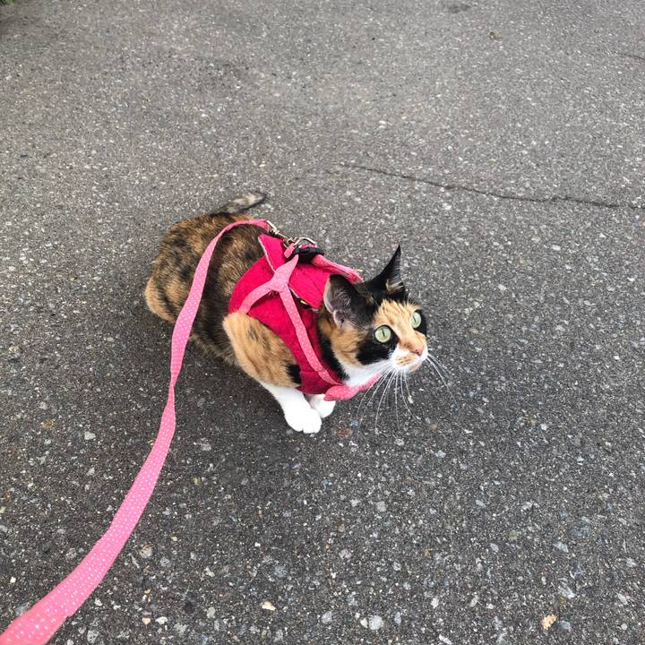 3ae402e4 bbfa 4a67 ac8f a6aebecce73f 1562491141569