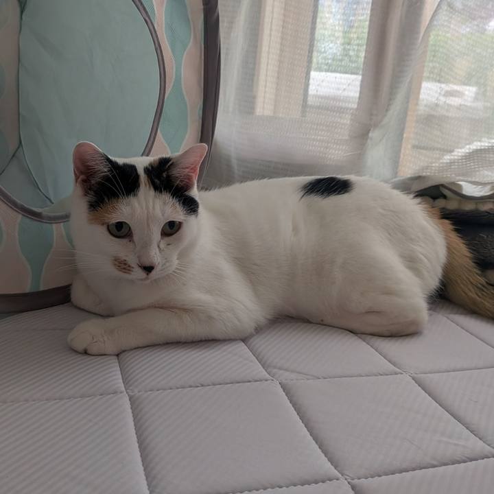 3ae453f1 144d 4e93 9c4a caf8e36d8fb6 1747699368629