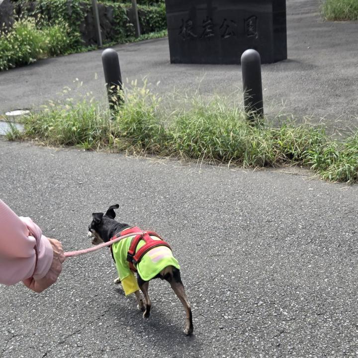 3ae475ec 3fe3 47d8 aa71 9e3590c0c057 1758417638216