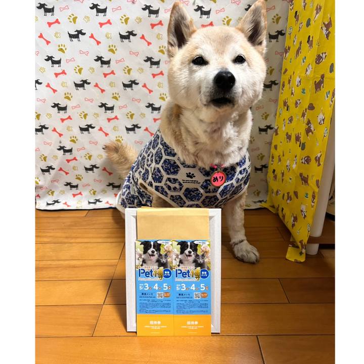 3ae48020 9768 4f23 9bb1 342ae746d4c3 1745830806287