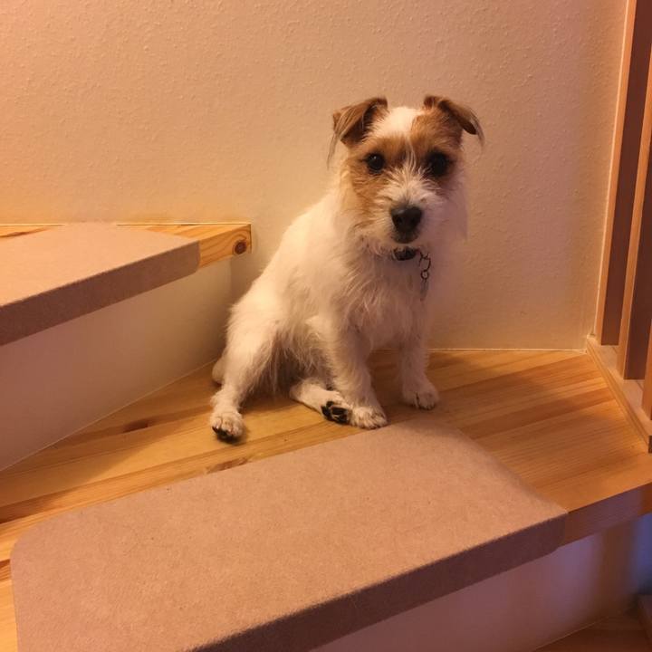 3ae4bc5e 03e4 46f3 8dc9 77c9fe730b16 1517528770903