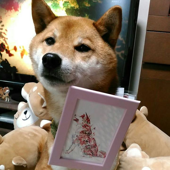 3ae4fdeb 69a0 4d8c bebf b233b6198b8e 1529114129812