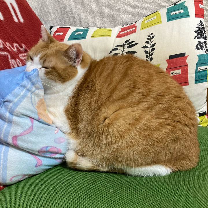 3ae501ce 8fe4 49f9 a699 cada047f67e7 1752895575783