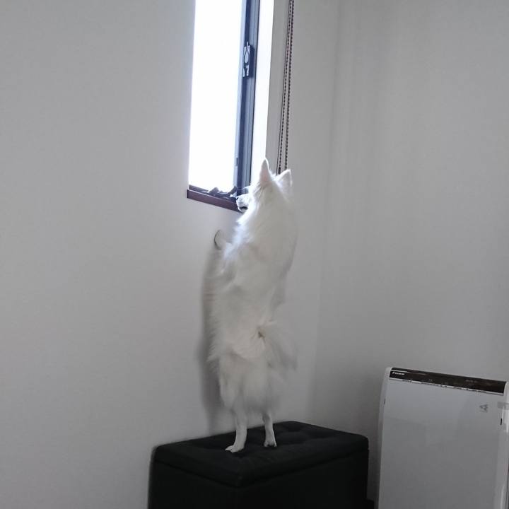 3ae520e2 7fde 4fc6 9150 517239c18a11 1524290222047