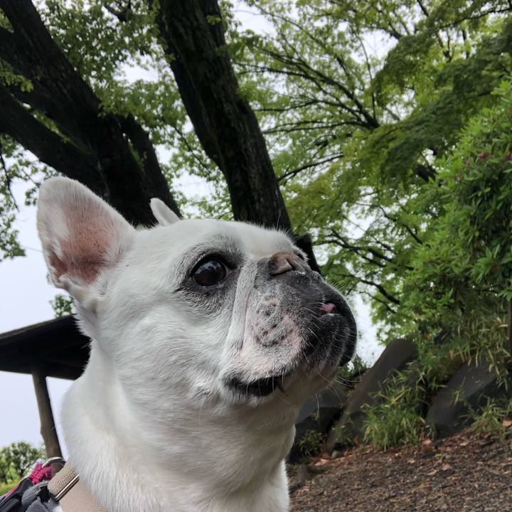 3ae52db6 4fe2 4ddd 8639 2500a6ff8610 1681641487905