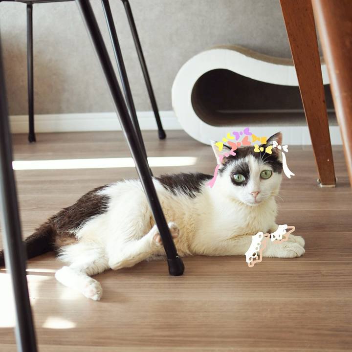 3ae58e71 51ae 4c42 bcb0 1db8855bca5d 1692072205018