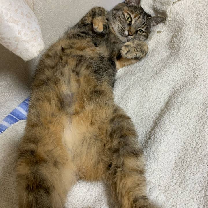 3ae5bcb3 d385 4ecc b653 1adb1c805fe0 1688272891450