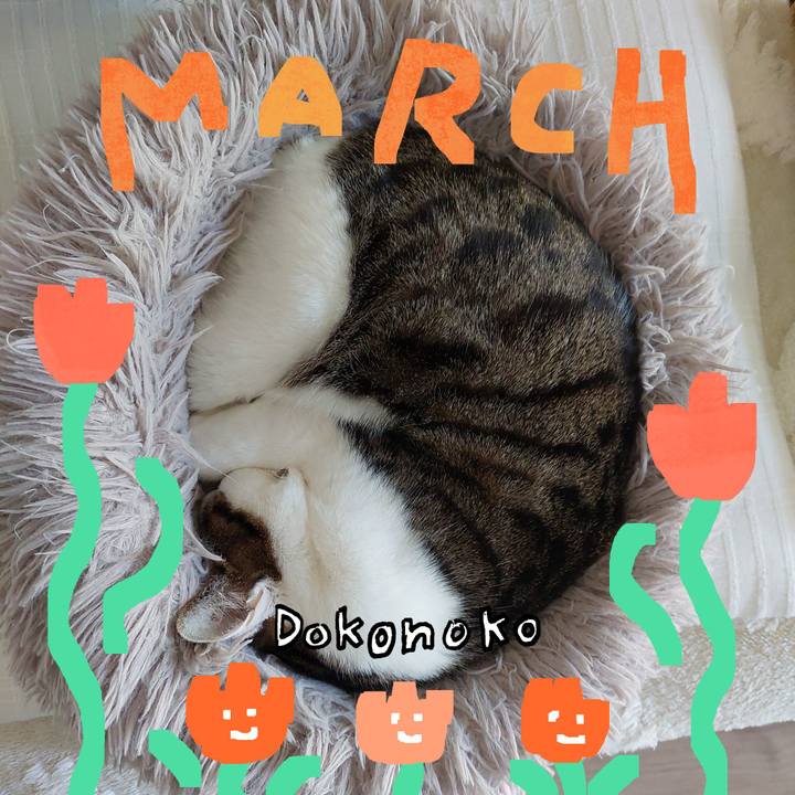 3ae5e580 2cc4 47c9 bdd4 49076fb38785 1741311210521