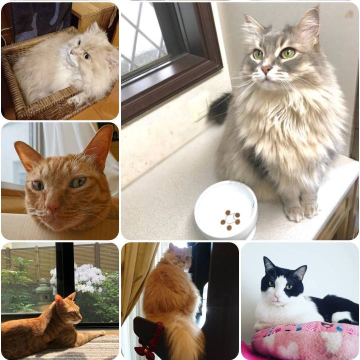 3ae5efac 0358 411e 8bf0 0adfb4c4362c 1557911197390