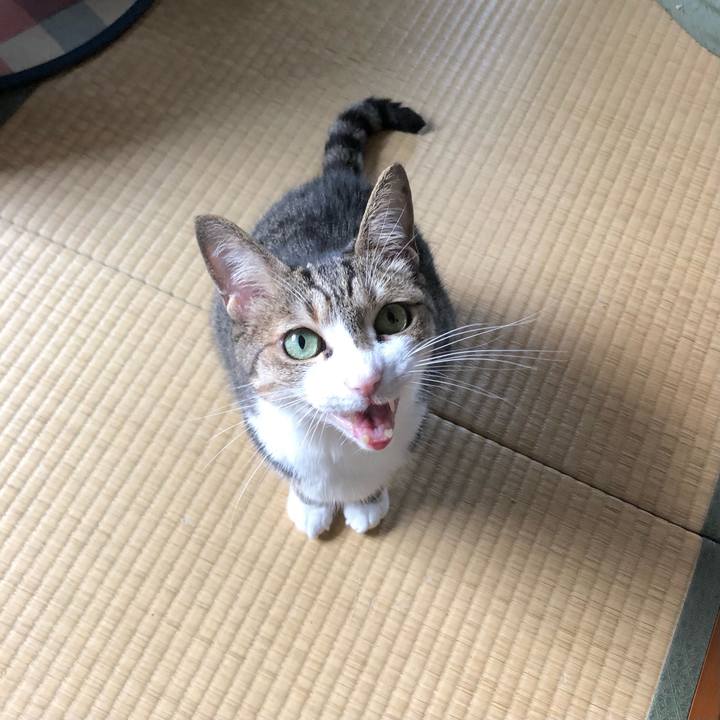 3ae60d82 30da 4df1 80ad e242c40d8b34 1657936794866