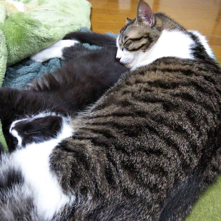 3ae60f8a 025a 4115 99c7 6d0bd247446c 1639729978840