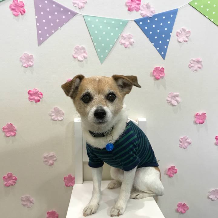 3ae611d0 3257 47bf 948a 78f5d8b1321c 1647753306521