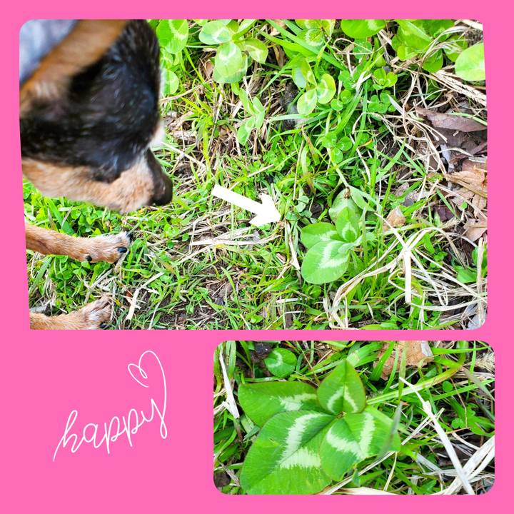 3ae62aa3 9108 4847 923d e5ae0edf4d8a 1710588077093