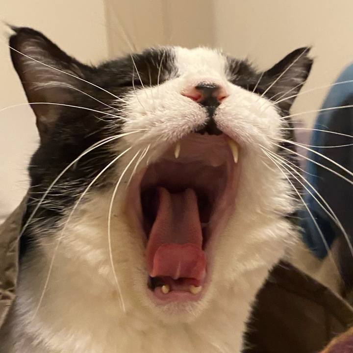 3ae634be 0619 469d a799 0022aceee271 1764419324612