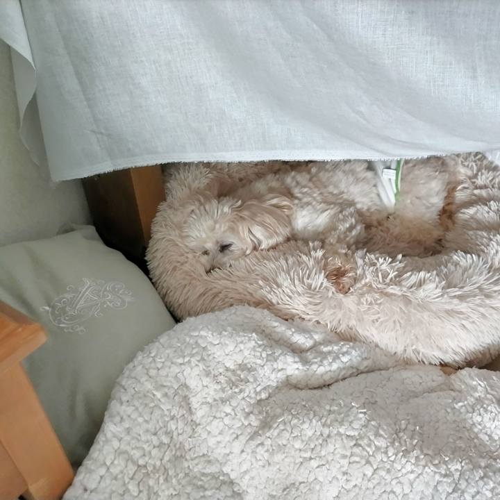 3ae67c79 6451 455b b94b 8cc1c4e5ceaa 1687077014984