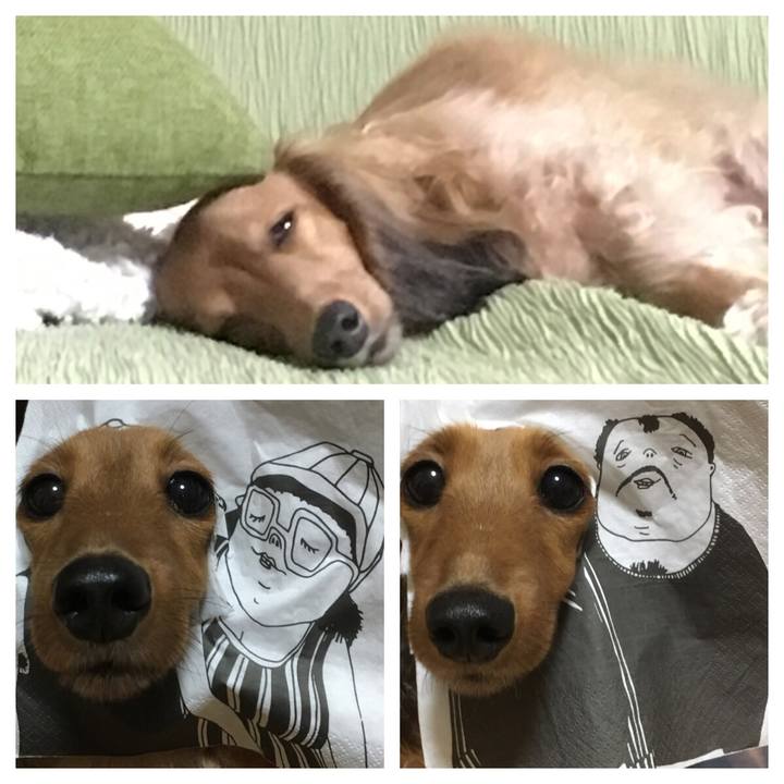 3ae67f87 1689 4dfc 8877 24d41e486dcc 1509844029726