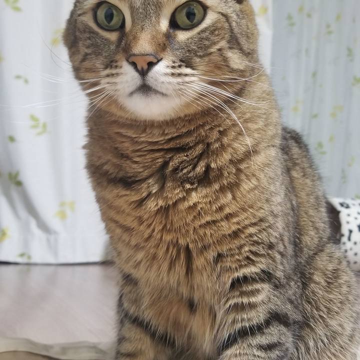 3ae68ed0 eeb7 4306 af3f ea78ef066425 1550887950982