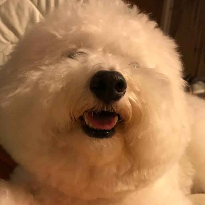 3ae6acf7 0e8c 4adb a1cd 893d8c9050d7 1535109613896