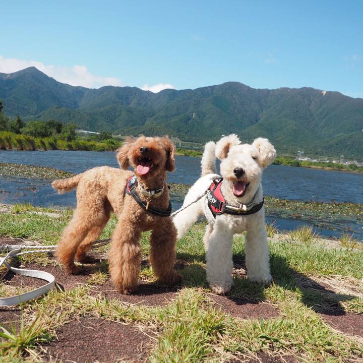 3ae6f49b 1520 441d ab45 6afb49c7deee 1570360132942