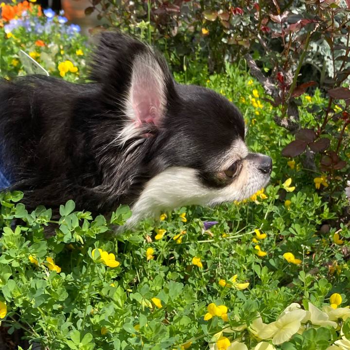 3ae71c90 cc48 45e4 9c78 6c3ce397cdea 1680231371200