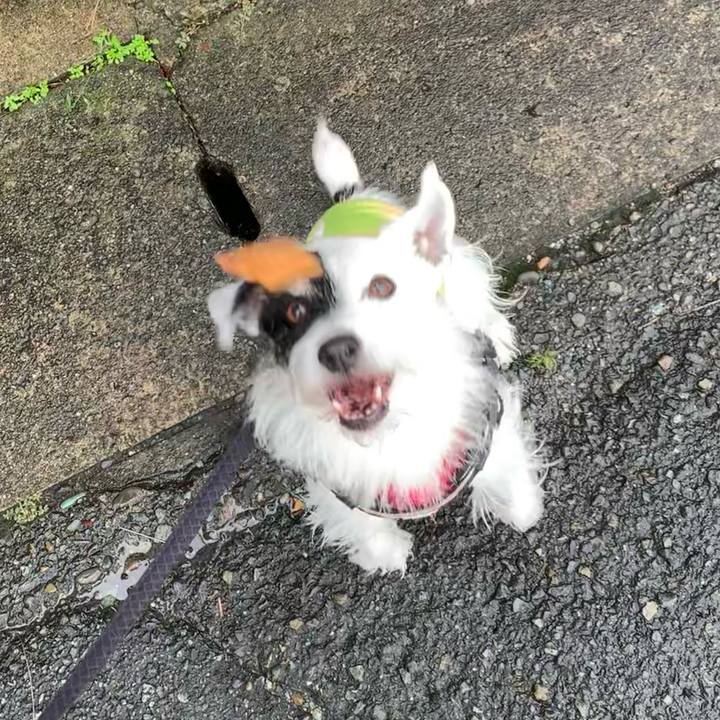 3ae7249b 6482 40af a431 730cef11e76a 1730248638954