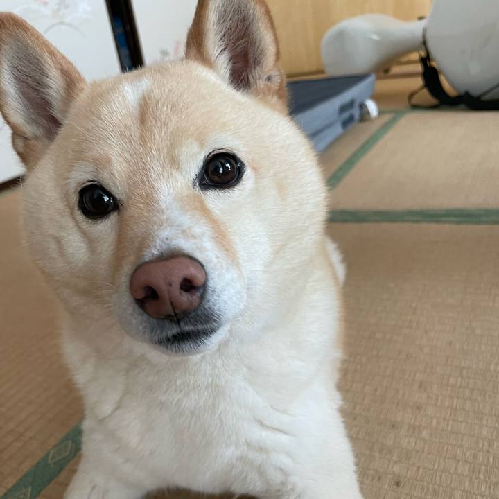 3ae75f36 88bd 4097 96cf 1b411b276bf4 1713998183038