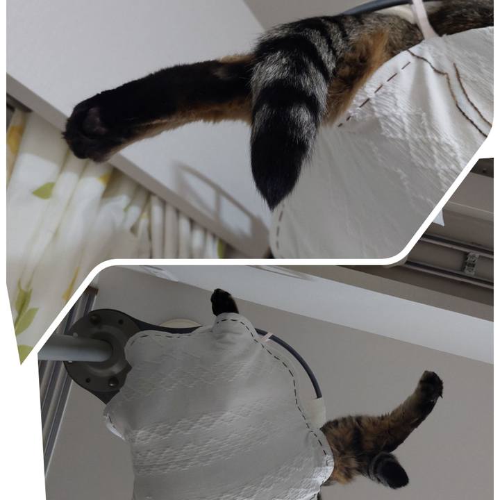 3ae766e0 74d5 466d 9d3e 8f2296a114fc 1670879949114