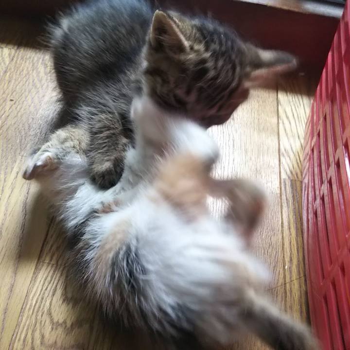 3ae771c3 69bf 4e5f a494 4166e5118dcc 1632270336535