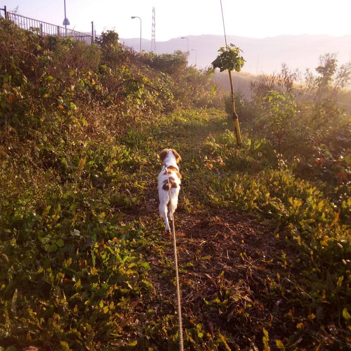 3ae7c466 1f60 42a6 8f60 e82e485073f4 1511743032714