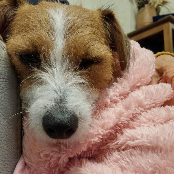 3ae84198 2c73 4f6d b571 82014208a67e 1542720435815