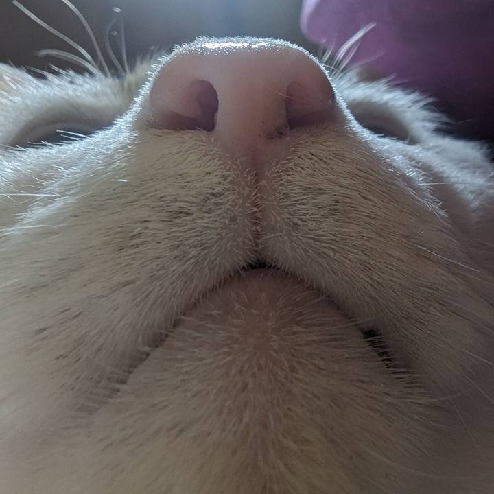 3ae86538 0fe1 4489 8da9 d015ed17a670 1707563827171