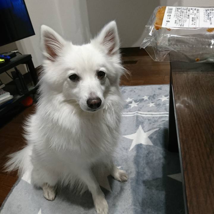 3ae86aa8 91dd 4c18 bf79 92ba8889b35a 1588081237080