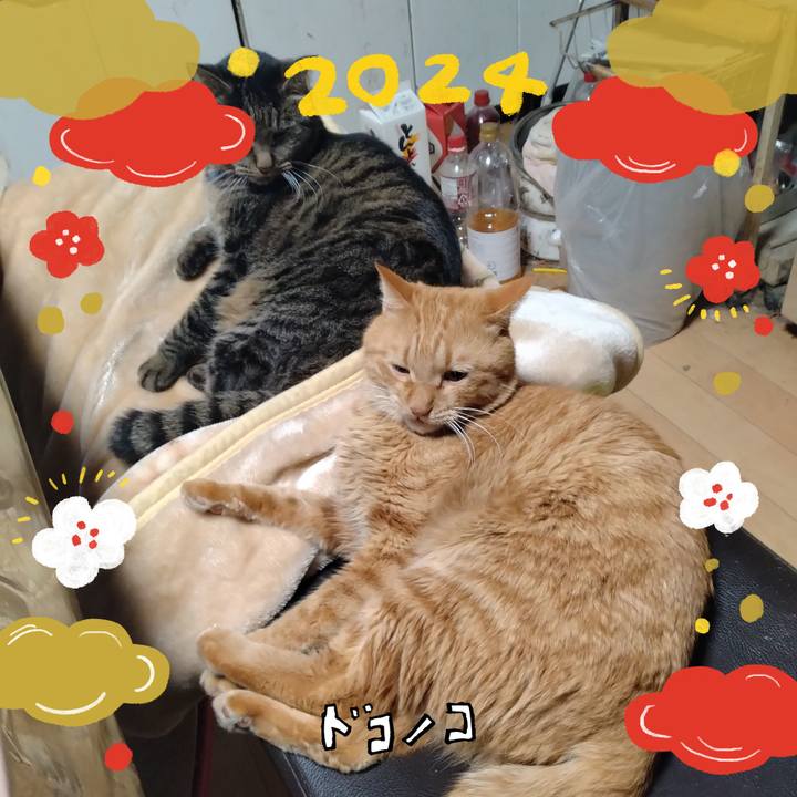 3ae883c0 9014 4454 a9e9 5742189cb6c5 1704071337819