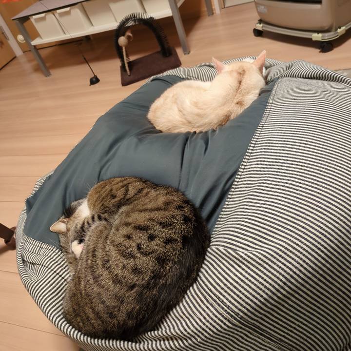 3ae8bbb7 eb73 43bf a21e 77cec519992a 1710237923470