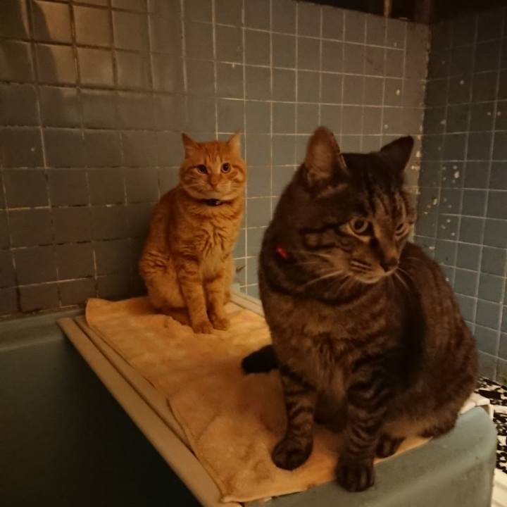 3ae8cdc5 295c 415c 8585 1b9d4f1c6ffc 1654862645571