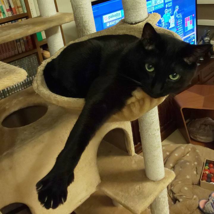 3ae8e218 0495 4622 b951 eb128816a106 1754651495666