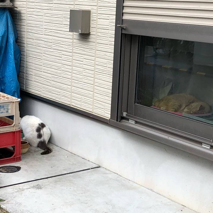 3ae92c5d c76d 4f7d b06c 118545847ccf 1555085061475