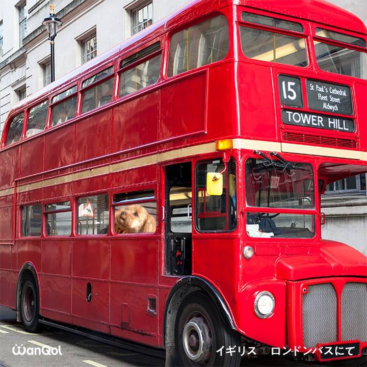 3ae9ad91 d60f 4ec3 a4f1 944da0f3a68c 1639523242813