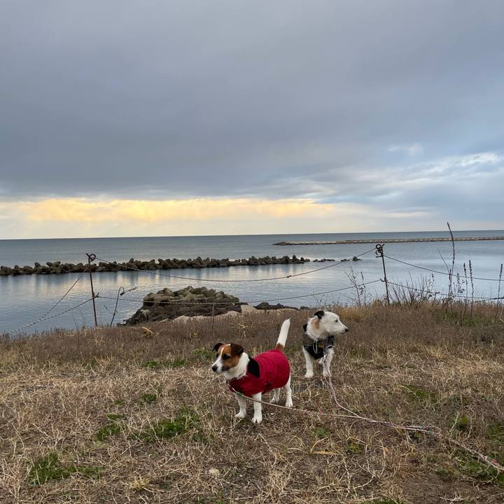 3ae9bf30 3436 4a0d 8377 56ac7c67e977 1670888054847