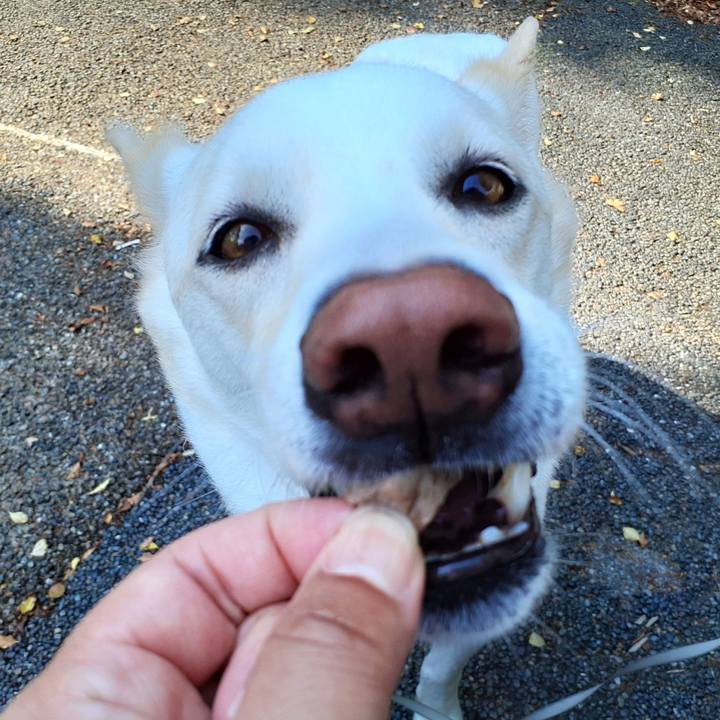 3ae9c499 4db4 4981 8db7 76a74e5b16c1 1651721291633