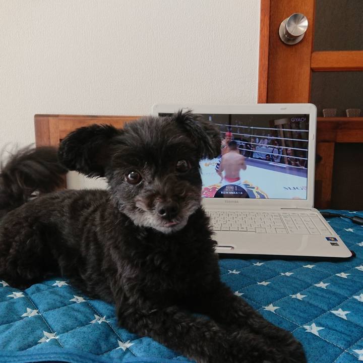 3ae9efc3 1611 443c 9772 a5f168a930b6 1564297743296