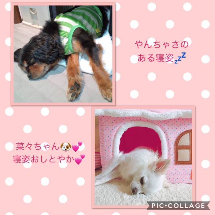 3ae9f1dc b1d1 479c 8aa3 d6d3e1154983 1533033375609