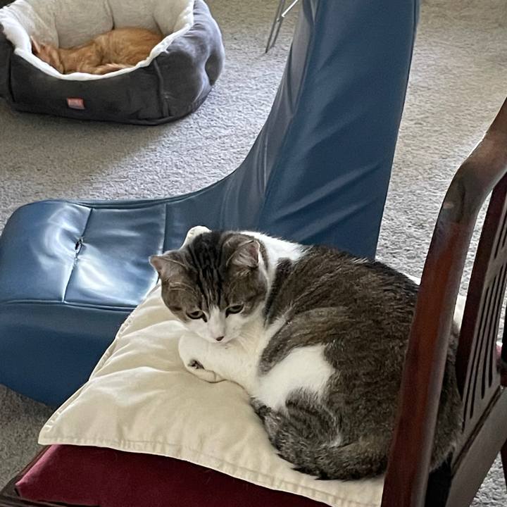 3aea027c 2dfd 44cc a1e6 1eec61379d8a 1743910543260